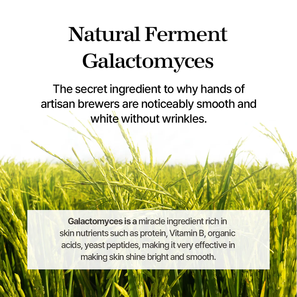 mixsoon Essence Jumbo - 12 Types Galactomyces Ferment