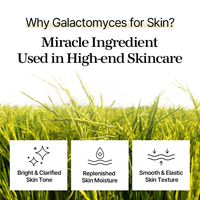 mixsoon Galactomyces Toner Pad 60 pads