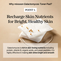 mixsoon Galactomyces Toner Pad 60 pads